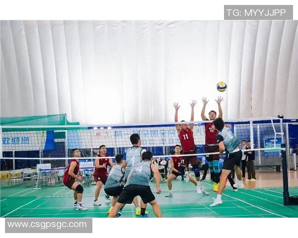 杭州排球队实力分析：聚焦技术与团队协作的完美结合