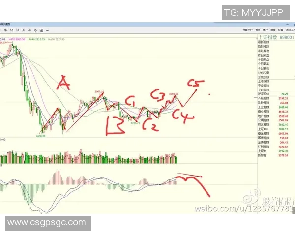 深入分析北京排球队区域防守策略及其在比赛中的应用与效果 深入分析北京排球队区域防守策略及其在比赛中的应用与效果