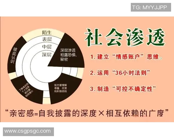 重庆排球队节奏对比分析揭示战术变化与球队表现的深层关系 重庆排球队节奏对比分析揭示战术变化与球队表现的深层关系