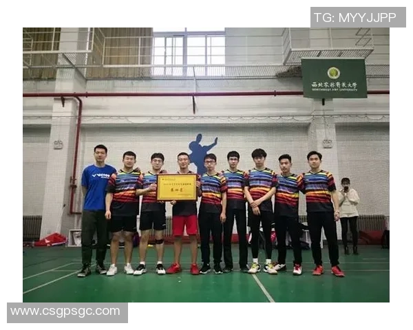 重庆羽毛球队意识排行榜第4名展现实力与潜力的背后故事 重庆羽毛球队意识排行榜第4名展现实力与潜力的背后故事